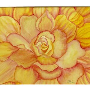 Painting Watercolor Flower Rose Yellow Orange Coral 11x14 & Mat 16x20 Original